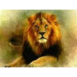 Алмазная мозаика по номерам 30*40 "Лев" карт уп. (холст на раме)