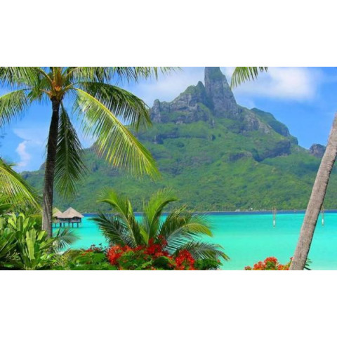 Алмазна мозаїка за номерами 30*40 