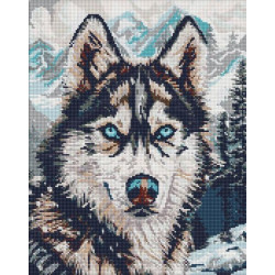 Набір з алмазною мозаїкою "Очі півночі" 40х50см