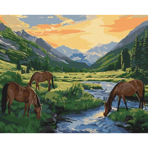 Набір для розпису по номерах 