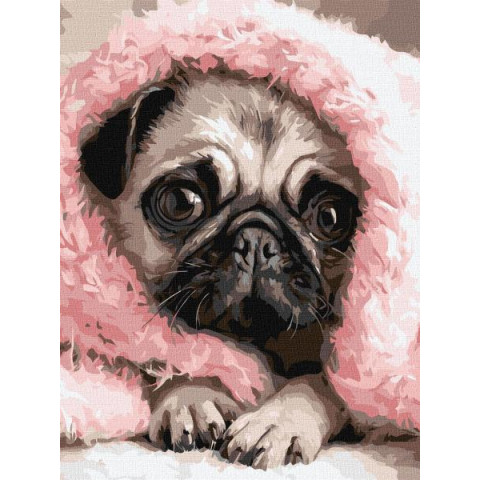 Набір для розпису по номерах 