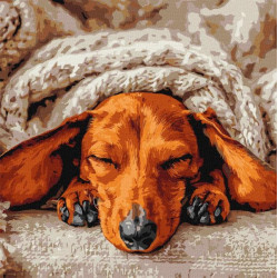 Набір для розпису по номерах "Солодкий спокій" 40х40см