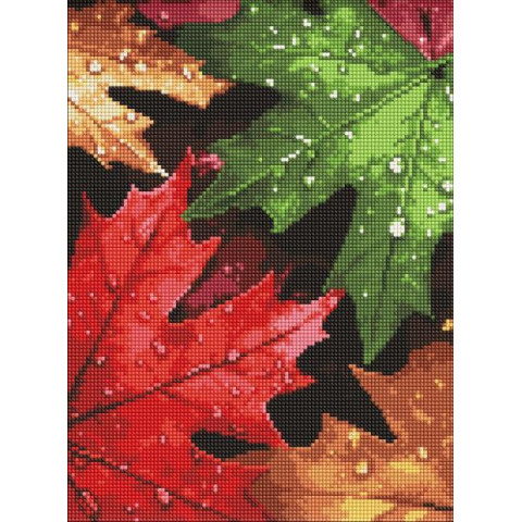 Набір з алмазною мозаїкою 