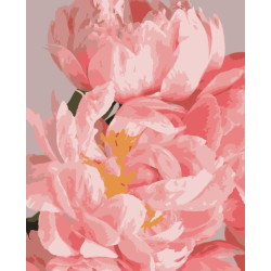 Картина за номерами Квіти. Ніжні півонії, 40х50см, в термопакеті, Artissimo (PN1970)