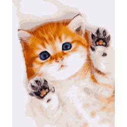 Картина по номерам Животные. Пушистая радость, 40х50см, в термопакете, Artissimo (PN0670)