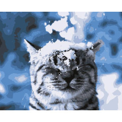 Картина за номерами Тварини. Зима прийшла!, 40х50см, в термопакеті, Artissimo (PN4211)