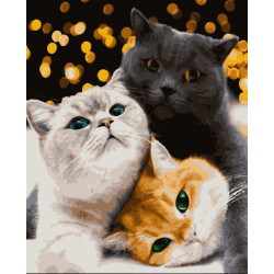 Картина за номерами Тварини. Котики-муркотики, 40х50см, в термопакеті, Artissimo (PN4200)