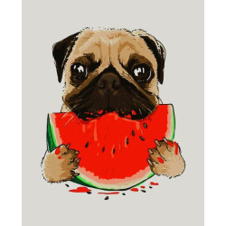 Картина за номерами Тварини. Мопсик з кавуном, 40х50см, в термопакеті, Artissimo (PN2320)