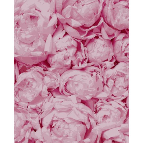 Картина за номерами Квіти. Ніжність, 40х50см, в термопакеті, Artissimo (PN5103)