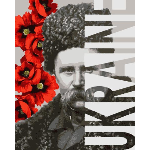 Картина за номерами Патріотична. Тарас Шевченко, 40х50см, в термопакеті, Artissimo (PN5892)