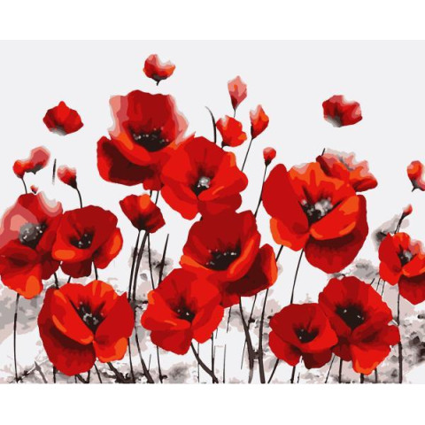 Картина за номерами Квіти. Маки, 50х60см, в термопакеті, Artissimo (PNХ6505)