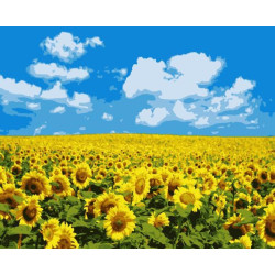 Картина за номерами Квіти. Поле соняшників, 40х50см, в термопакеті, Artissimo (PN5379)