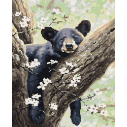 Картина за номерами Тварини. Ведмедик, , 40х50см, в термопакеті, Artissimo (PN5783)
