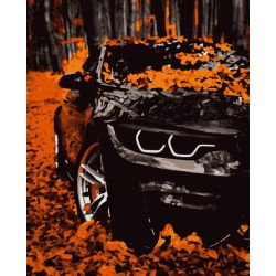 Картина за номерами Транспорт. Осінь у жовтому, , 40х50см, в термопакеті, Artissimo (PN9650)