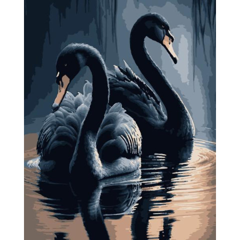 Картина за номерами Птахи. Чорні лебеді, , 50х60см, в термопакеті, Artissimo (PNX0745)