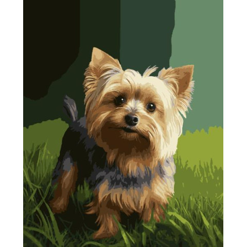 Картина за номерами Тварини. Йорк, , 50х60см, в термопакеті, Artissimo (PNX4081)