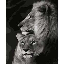 Картина по номерам Животные. Пара львов, 40х50 см, термопакет, Artissimo (PN4204)