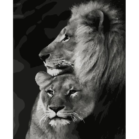 Картина по номерам Животные. Пара львов, 40х50 см, термопакет, Artissimo (PN4204)