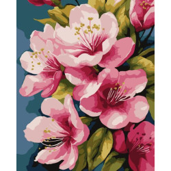 Картина по номерам Цветы. Яблочные цветы, 40х50см, в термопакете, Artissimo (PN4305)