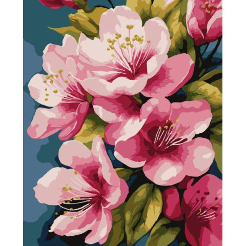 Картина за номерами Квіти. Яблуневі квіти, 50х60см, в термопакеті, Artissimo (PNX4305)