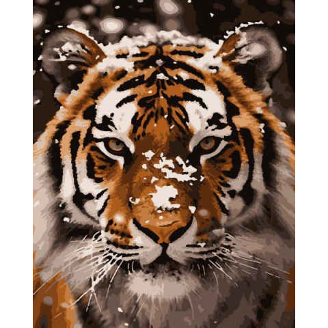 Картина по номерам Животные. Тигр, 40х50см, в термопакете, Artissimo (PN4271)