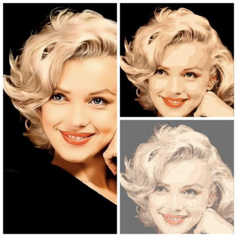 Картина за номерами по фото 50*60 см Artissimo (PNX0001)