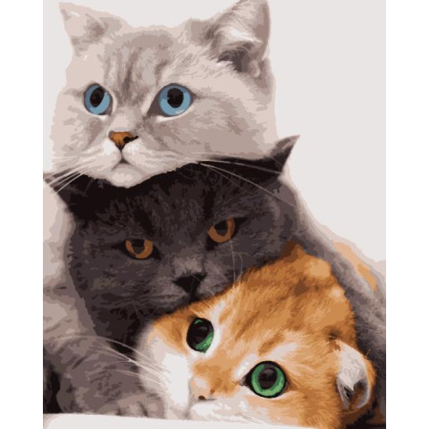 Картина за номерами Тварини. Три коти, 40х50см, в термопакеті, Artissimo (PN4201)