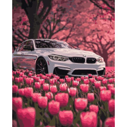 Картини за номерами "Весна та швидкість" 40*50 см Artissimo (PN9654)