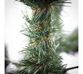 Елка искуственная ТМ Yes! Fun литая СИТХИНСКАЯ голубая h-1,80 м (903535)