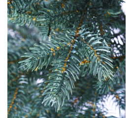 Ялинка Yes! Fun h-2,1 м Скандинавська ЛИТА (904940) арт: 904940-tp