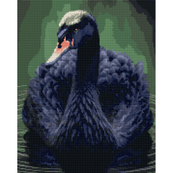 Алмазная мозаика SANTI Черный лебедь, 40*50см на подрамнике (954525)