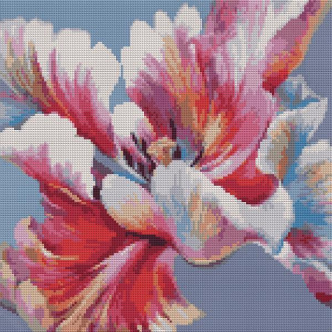 Алмазна мозаїка SANTI Ірис 40*40см на підрамнику (954697) арт: 954697-tp