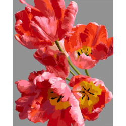 Картина по номерам SANTI Розовые тюльпаны 40х50 см (955788)