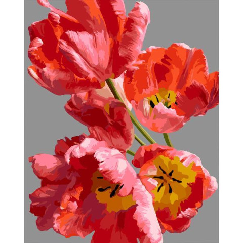 Картина по номерам SANTI Розовые тюльпаны 40х50 см (955788)