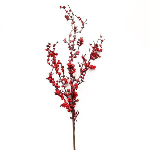 Гілка декоративна Yes! Fun з червоними ягодами, 98см, засніжена (973489)