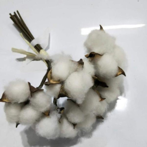 Гілка декоративна Yes! Fun Бавовна 5 шт/пучок, 24 см (974816) арт: 974816-tp