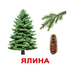 Карточки большие украинские с фактами "Дерева" 20 карт., методика Глена Домана, в пак. 16,5*19,5см, ТМ Вундеркинд