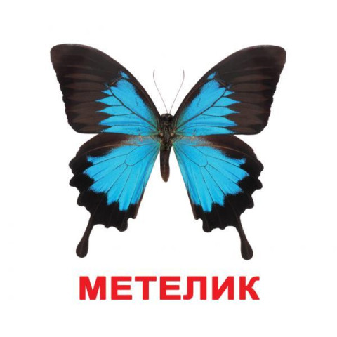 Карточки большие украинские с фактами 