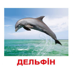 Картки великі українські з фактами "Мешканці водойм" 20шт, методика Глена Домана, у пак. 16,5*19,5см, Україна, ТМ Вундеркінд з пелюшок