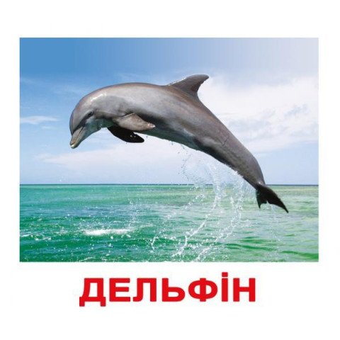 Карточки большие украинские с фактами 