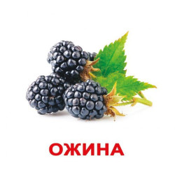 Картки великі українці з фактами "Ягоді" 20 карт., методика Глена Домана, у пак. 16,5*19,5см, Україна, ТМ Вундеркінд з пелюшок