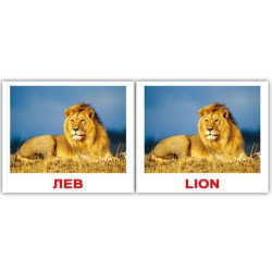 Картки міні російсько-англійські "Дикі тварини/Wild" 40 карт., пак. 8*10см, Україна, ТМ Вундеркінд з пелюшок