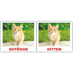 Картки міні російсько-англійські "Дом. тварини/Domestic" 40 карт., в пак. 8*10см, ТМ Вундеркінд з пелюшок