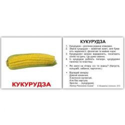 Картки міні українські з фактами "Овочі" 40шт, в пак. 8*10см, ТМ Вундеркінд з пелюшок