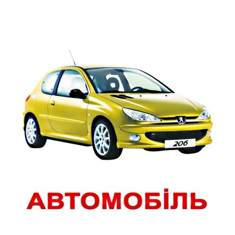 Карточки большие украинские с фактами 