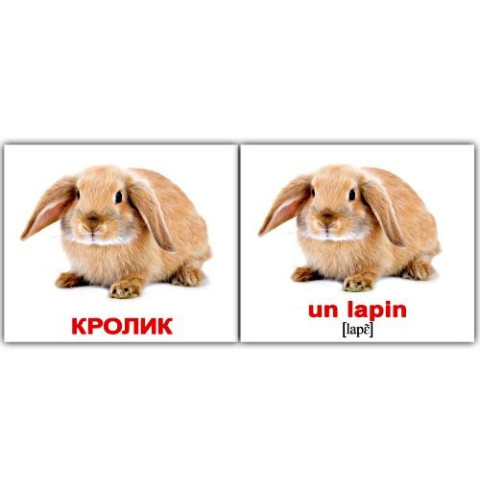 Картки міні російсько-французькі 