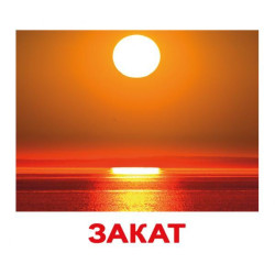 Карточки большие русские с фактами, ламинированные "Природа" 20шт, в пак. 16,5*19,5см, ТМ Вундеркинд с пеленок