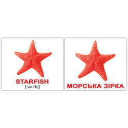 Картки міні українсько-англійські "Водяні тварини/ Woter animals" 40 карт., у пак. 8*10см
