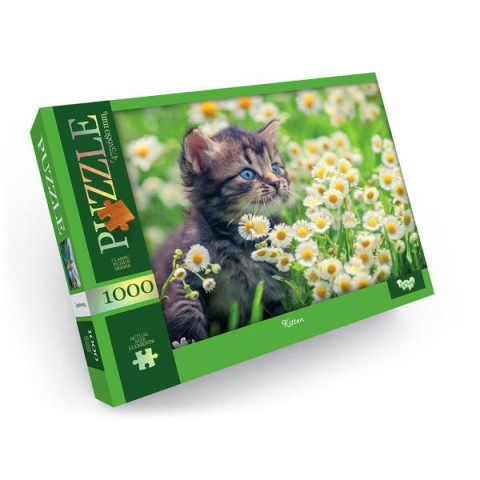 Пазлы тв. 1000 эл., серия 12, вид 3, в кор. 40*29*5см