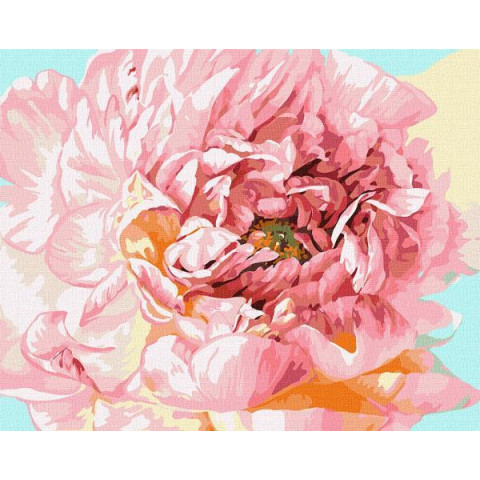 Картина за номерами Квіти. Ніжний півонія Ira Volkova, 40х50см, в термопакеті, Идейка (KHO2996)